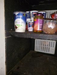 shelf detail in fridge